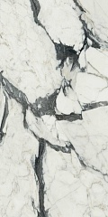 Les Bijoux Calacatta Altissimo Blanc  Glossy 60 120
