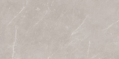 Российская плитка Azori Ebri EBRI GRIS 31.5 63