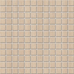 Вяз беж 20095  29.8 29.8