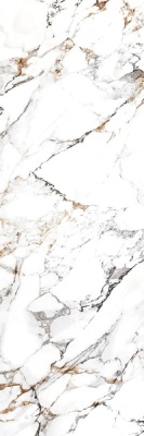 Индийская плитка Motto Arabescato Gold Arabescato Gold Polished 80 240