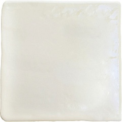 Плитка Roots White S Gloss 11 11