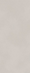 Boost Color Dove 50 120