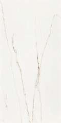 Statuario 240 Rect. Parlak Nano 120 240