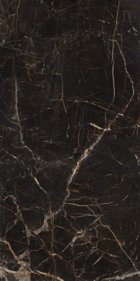 Испанская плитка Pamesa Lux Cr Lux Laurants Brown Pul. Rect. 60 120