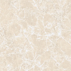 Imperatore Beige Polished 60 60
