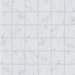 Montis MN01 Мозаика (5х5) Полир. White 30 30