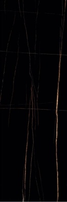 Индийская плитка StaroTech Slab Polished SAHARA BLACK Polished 80 240