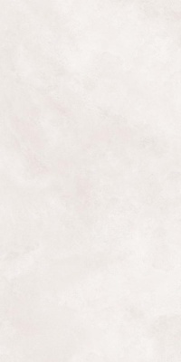 Индийская плитка Neodom Loft Loft Newport White Matt 60 120