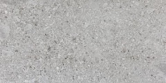 Ceppo Di Gre Stone Light Grey Matte Structure 60 120