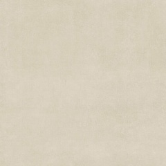 Raw Toasted Rect. 60х60