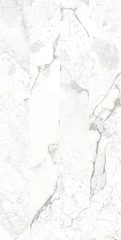 Rock Breccia Bianco 120х60