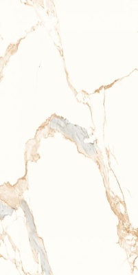 Индийская плитка Neodom Classic Marble Classic Marble Statuario Gold Fusion 60 120