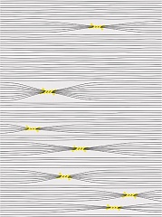 Otomi-4 25 75