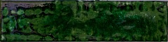 Joliet Jade 7.4 29.75