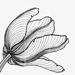 Bardelli Tuli-Charme 1 set 9pcs 60х60