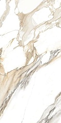 Marmo Calacatta Porto Gold Glossy 120х60