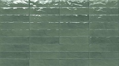 SALVIA BRILLANTE 24х6