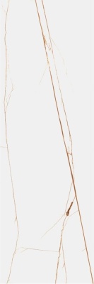 Индийская плитка StaroTech Slab Polished SPIDER BROWN Polished 80 240