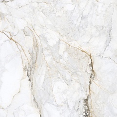 Cr.Pisa Gold Mat 60х60