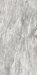 SILVER DREAM ANT 60 120
