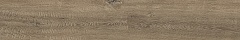 Tongass Brown R10 20 120