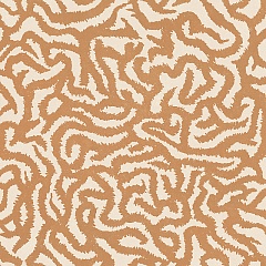 Nok Snake Terra 120x120