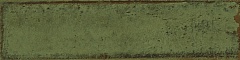 Alchimia Olive 7.5 30