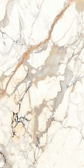 Venato Carrara High Glossy 80 160