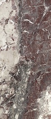 Breccia Viola Pol Rect 120 278