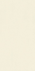 Morandi Beige-M 60 120