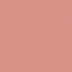 Pixel41 Strawberry 11,5 11,5