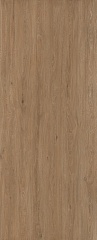 ZEN WOOD AMOND 120X300