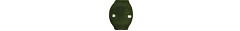 Ang. Ext. Torello Verde Botella 2 2