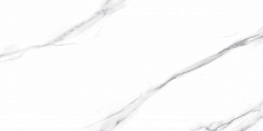Carrara NPlus 33 60 120