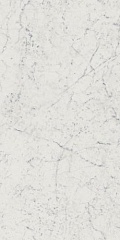 Charme Extra Carrara Nat 120х60