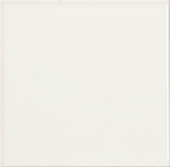 Monocolor Liso Mate Blanco 10 10