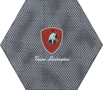 Итальянская плитка Tonino Lamborghini Indy TL20ID80 Indy Decoro Logo TL Esagono lato 20 34.6 40
