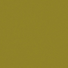 Pixel41 Khaki 11,5 11,5