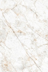 Marble Glister Gold Carving 120 280