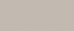 True Color Fossil Matt 50 120