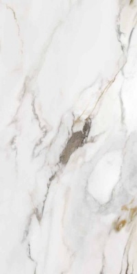 Итальянская плитка La Fabbrica AVA Marmo e Pietra Marmo e Pietra Macchia Antica Lapp. Rett 60 120