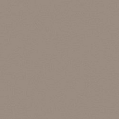 Rainbow RW 041 Непол.Рект. Light Brown 60 60
