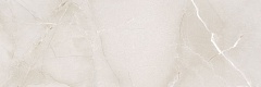 Passion R90 Ice 30 90
