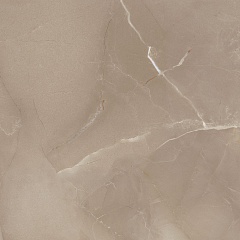 Плитка Passion Lux 60 Taupe 60х60 (Испания) Passion Lux 60 Taupe 60х60