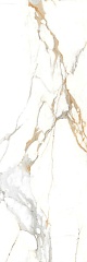 Statuario Gold Polished 80 240