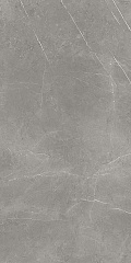 Плитка Forte Dei Marmi Elegant Grey Satin. 120х60 (Россия) Forte Dei Marmi Elegant Grey Satin. 120х60