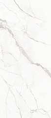 Calacatta honed 120 278