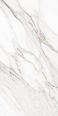 Caspio White Pulido Rect 60 120