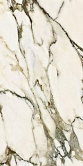 Classic Marble Calacatta Venato Glossy 60 120