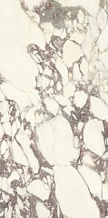 Marmi Calacatta Viola Soft. Ret. 60 120